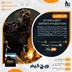اکانت قانونی Dying Light Definitive Edition برای PS5 و PS4